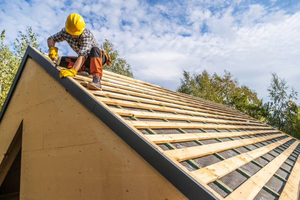 Roof Gutter Cleaning in Wickliffe, OH